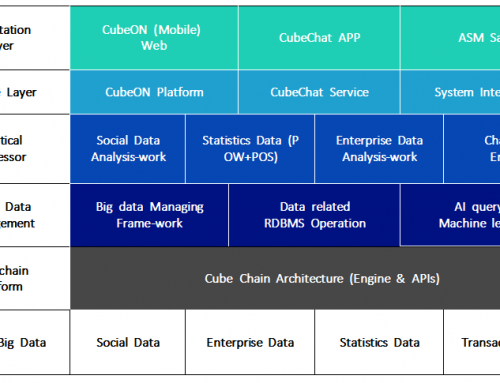 Specific Structure of Cube Chain – Service Big Data